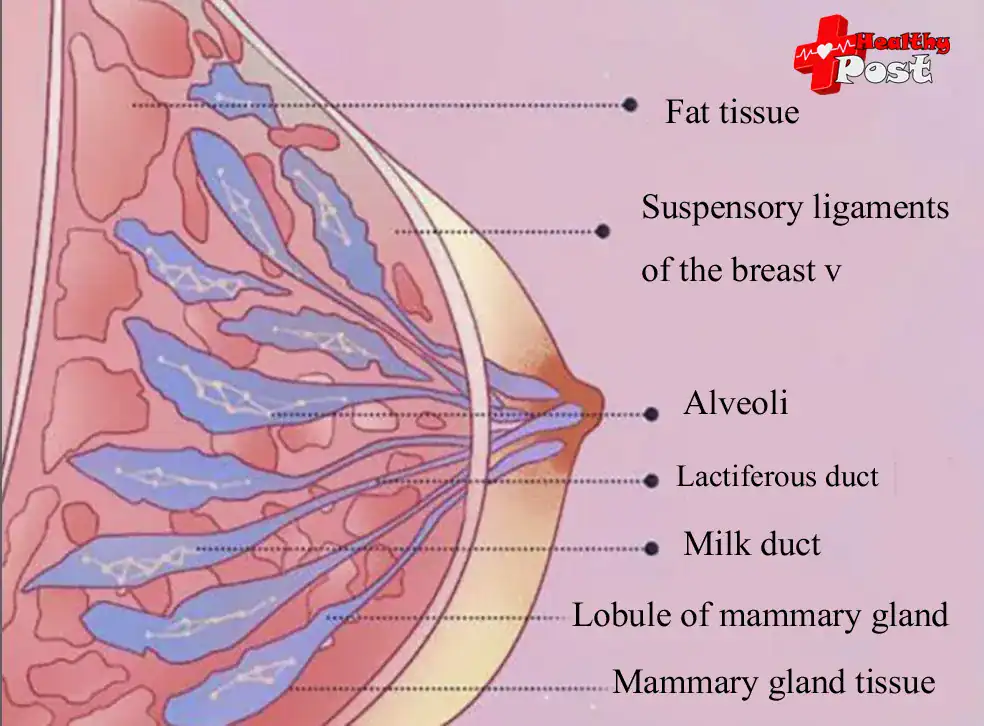 the picture for reference only